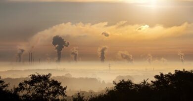 Luftföroreningar kan bidra till ökad dödlighet i covid-19