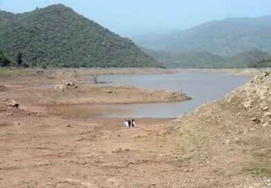 Forskare: Vattenfrågan nyckeln till fred runt Tchadsjön