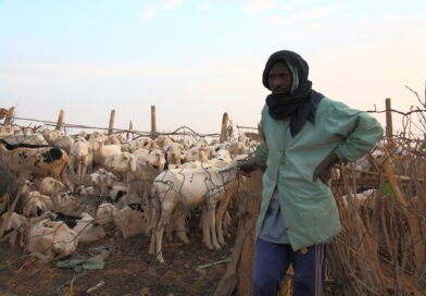 Tillgång till mat avgörande – om fred ska uppnås i Sahel