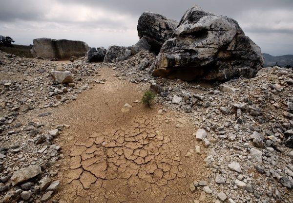 Lång torka kan slå hårt mot Latinamerikas skördar