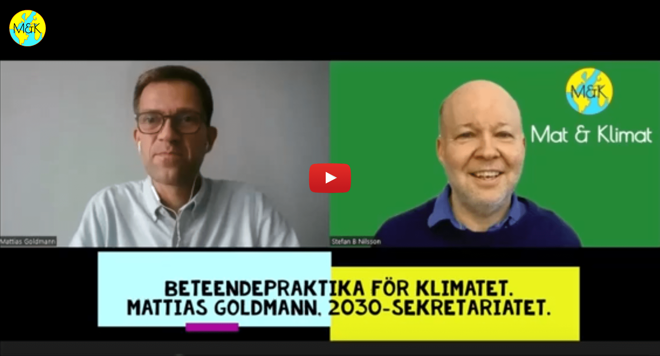 Mattias Goldmann om 55 förslag för att nå trafikens klimatmål (HQ)