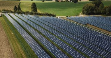 Lokalpolitiker vill satsa mer på solenergi
