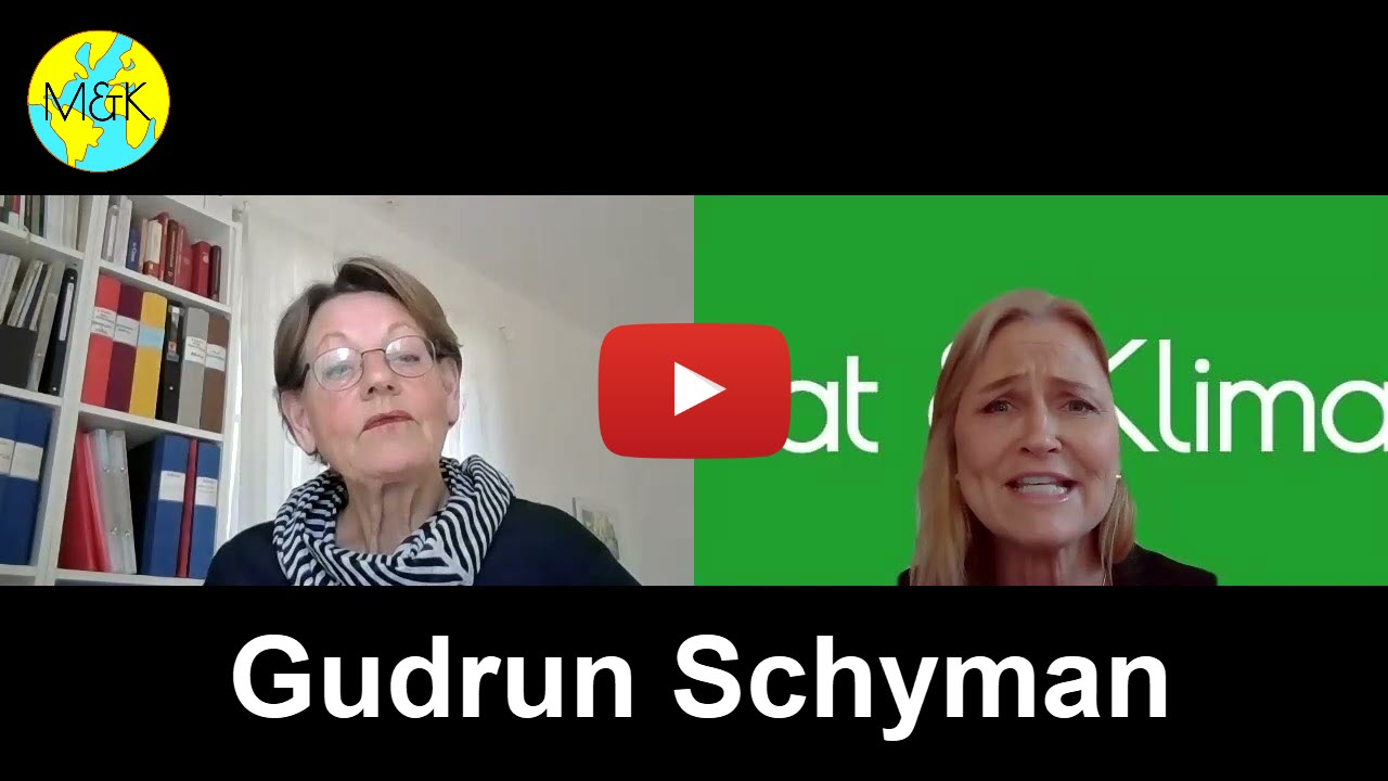 Politik för klimatet. Intervju med Gudrun Schyman, Fi. (BQ)
