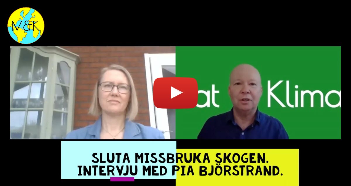 Sluta missbruka skogen. Intervju med Pia Björstrand, Klimataktion. (HQ)