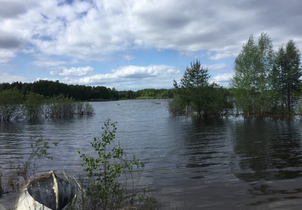 Mångfalden ökar i Bredforsens naturreservat