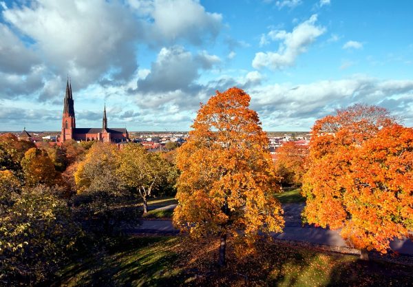 Uppsala:2030 samlar engagemang för smartare konsumtion