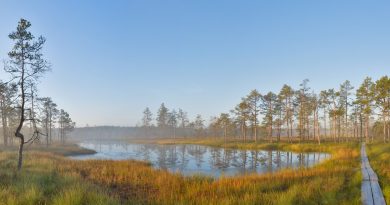 Uppsala kommun bifaller motion om att återskapa våtmarker