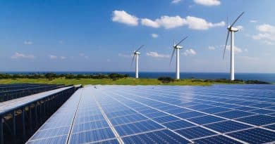 Myter kring förnybar energi avfärdade vid Riksdagsseminarium