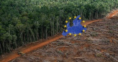 Organisationen Skydda skogen kritiserar regeringens skogspolitik