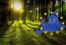 Sverige saboterar EU:s skogspolitik