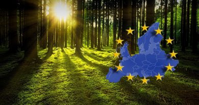 Sverige saboterar EU:s skogspolitik